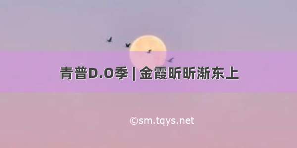 青普D.O季 | 金霞昕昕渐东上