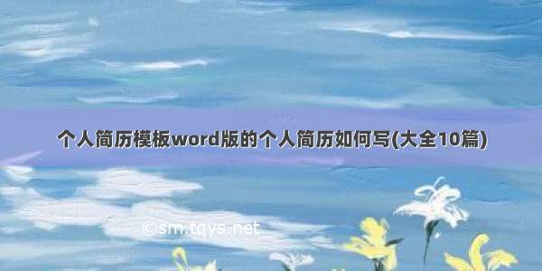 个人简历模板word版的个人简历如何写(大全10篇)