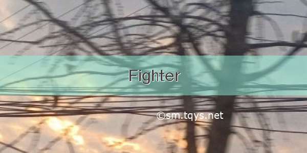 Fighter