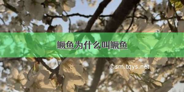 鳜鱼为什么叫鳜鱼