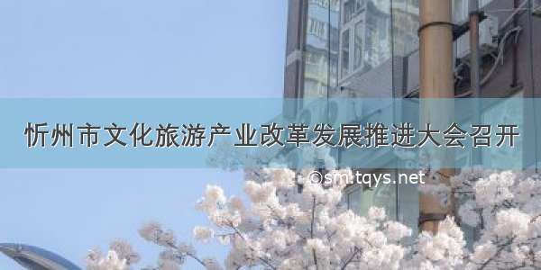 忻州市文化旅游产业改革发展推进大会召开