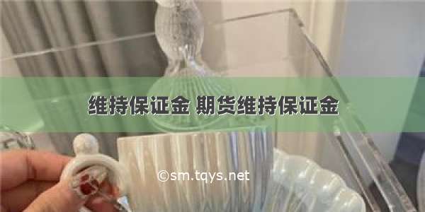 维持保证金 期货维持保证金