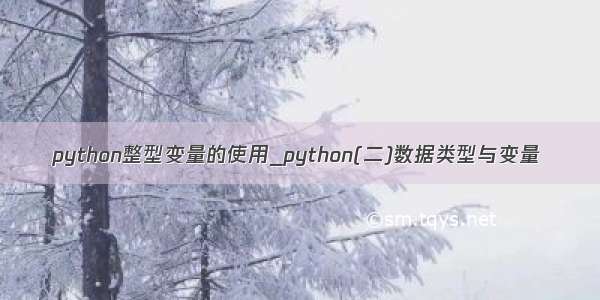 python整型变量的使用_python(二)数据类型与变量