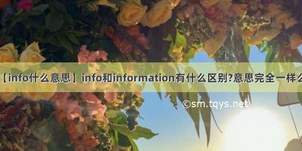 【info什么意思】info和information有什么区别?意思完全一样么?