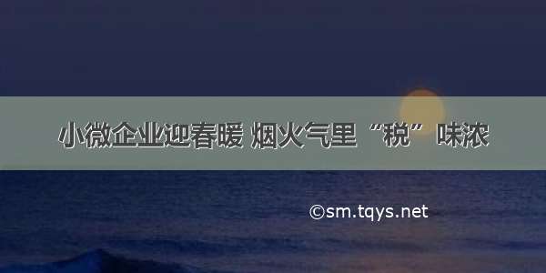 小微企业迎春暖 烟火气里“税”味浓