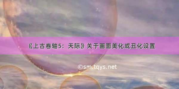 《上古卷轴5：天际》关于画面美化或丑化设置