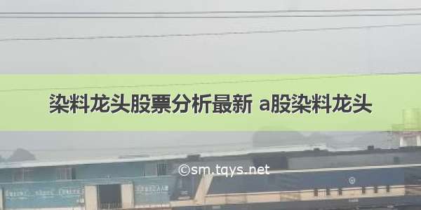 染料龙头股票分析最新 a股染料龙头