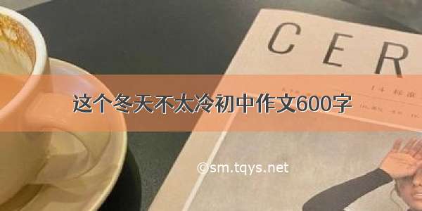 这个冬天不太冷初中作文600字