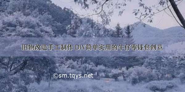 旧物改造手工制作 DIY简单实用的牛仔零钱包创意