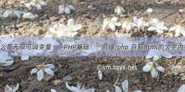 什么是无级可调变量 – PHP基础 – 前端 php 获取html的文字内容