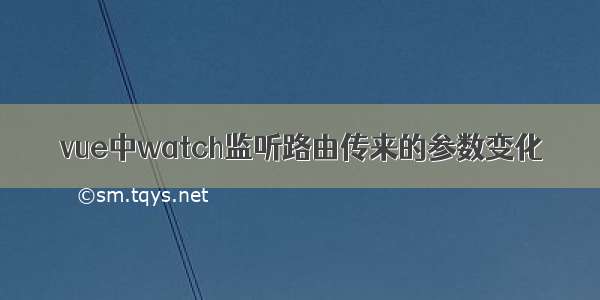 vue中watch监听路由传来的参数变化