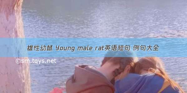 雄性幼鼠 Young male rat英语短句 例句大全