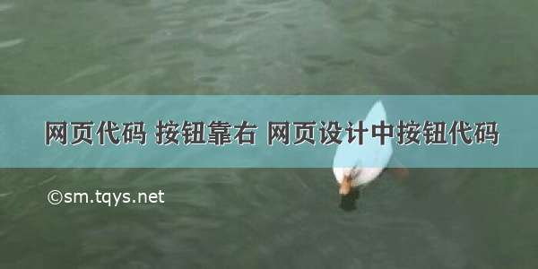 网页代码 按钮靠右 网页设计中按钮代码