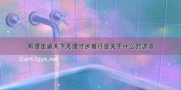 有理走遍天下无理寸步难行是关于什么的谚语