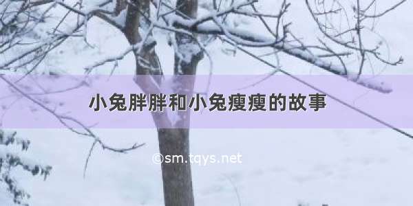 小兔胖胖和小兔瘦瘦的故事