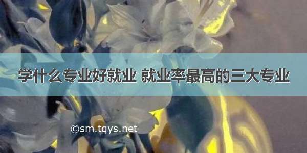 学什么专业好就业 就业率最高的三大专业