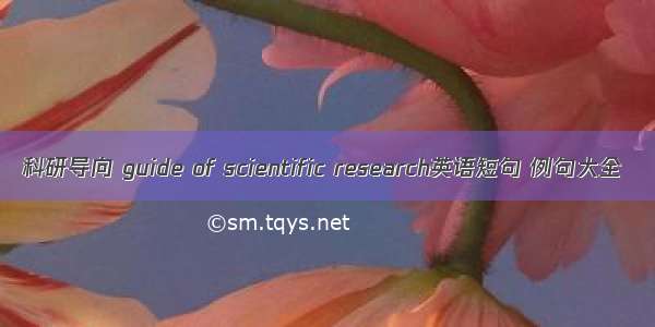 科研导向 guide of scientific research英语短句 例句大全