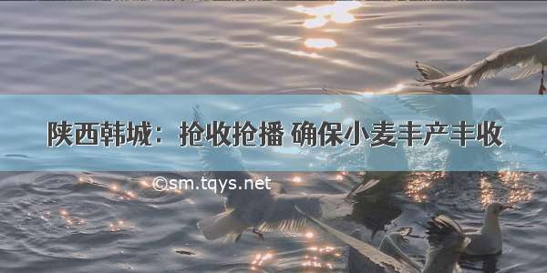 陕西韩城：抢收抢播 确保小麦丰产丰收