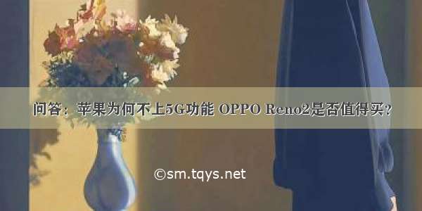 问答：苹果为何不上5G功能 OPPO Reno2是否值得买？