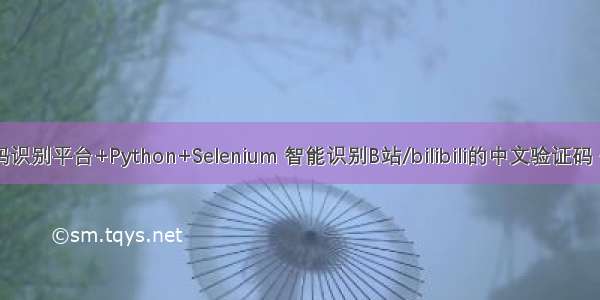 使用 图灵验证码识别平台+Python+Selenium 智能识别B站/bilibili的中文验证码 并实现自动登陆