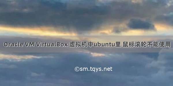Oracle VM VirtualBox 虚拟机中ubuntu里 鼠标滚轮不能使用