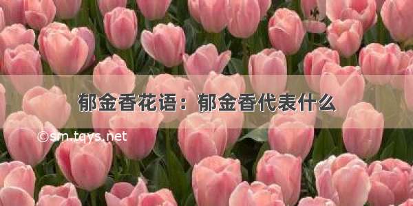 郁金香花语：郁金香代表什么