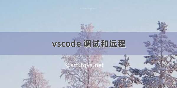 vscode 调试和远程