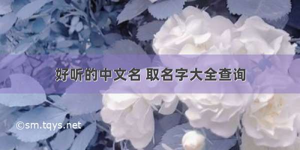 好听的中文名 取名字大全查询