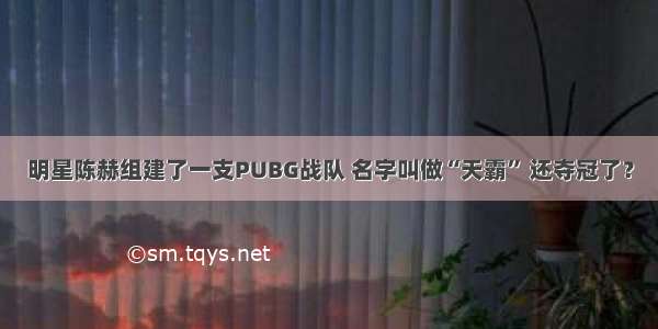 明星陈赫组建了一支PUBG战队 名字叫做“天霸” 还夺冠了？