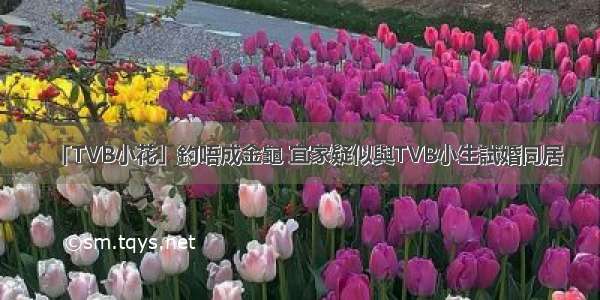 「TVB小花」釣唔成金龜 宜家疑似與TVB小生試婚同居