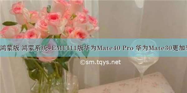 华为mate30鸿蒙版 鸿蒙系统+EMUI11版华为Mate40 Pro 华为Mate30更加悲惨价格骤降