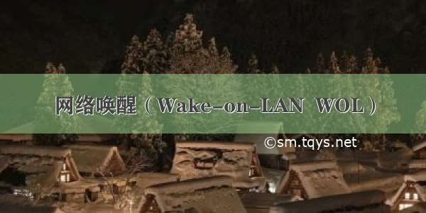 网络唤醒（Wake-on-LAN  WOL）