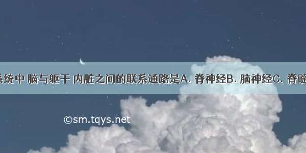 在人的神经系统中 脑与躯干 内脏之间的联系通路是A. 脊神经B. 脑神经C. 脊髓D. 神经纤维