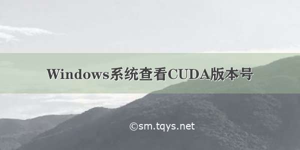 Windows系统查看CUDA版本号