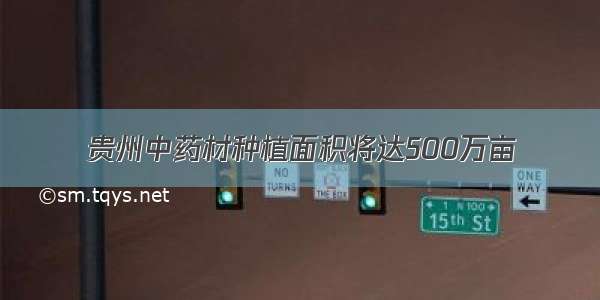 贵州中药材种植面积将达500万亩