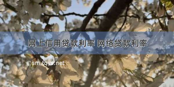 网上信用贷款利率 网络贷款利率