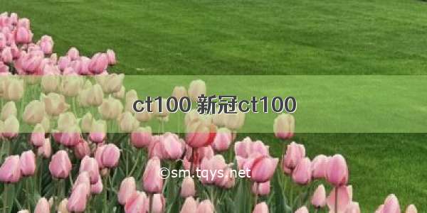 ct100 新冠ct100