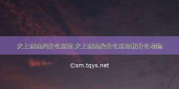 火上浇油是什么意思 火上浇油是什么意思指什么动物