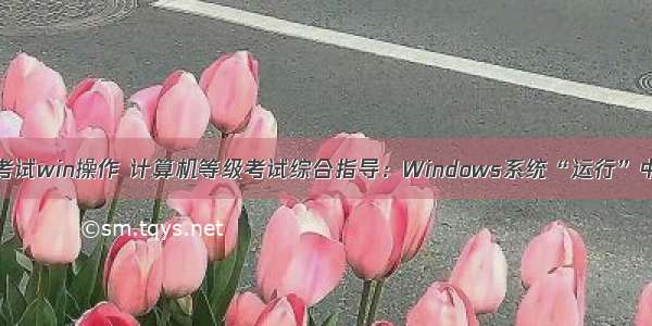 计算机水平考试win操作 计算机等级考试综合指导：Windows系统“运行”中的小技巧...