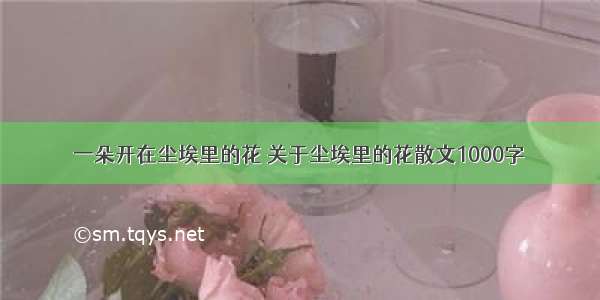 一朵开在尘埃里的花 关于尘埃里的花散文1000字