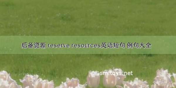 后备资源 reserve resources英语短句 例句大全