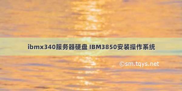 ibmx340服务器硬盘 IBM3850安装操作系统