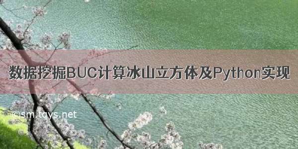 数据挖掘BUC计算冰山立方体及Python实现