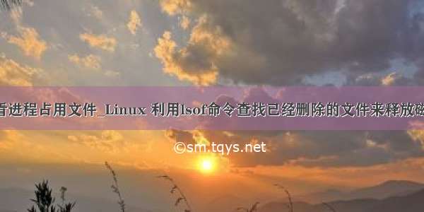 lsof查看进程占用文件_Linux 利用lsof命令查找已经删除的文件来释放磁盘空间