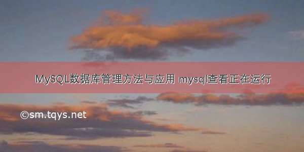 MySQL数据库管理方法与应用 mysql查看正在运行