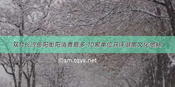 双11长沙岳阳衡阳消费最多 10家单位获评湖南文化地标