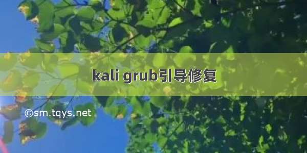 kali grub引导修复