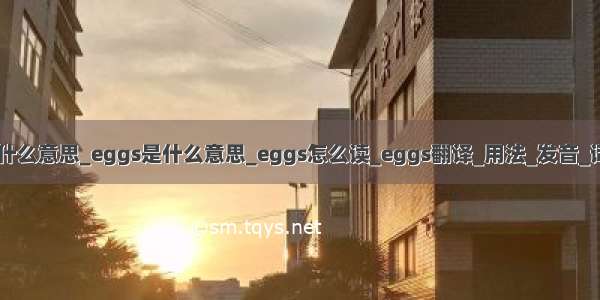 eggs和egg是什么意思_eggs是什么意思_eggs怎么读_eggs翻译_用法_发音_词组_同反义词_
