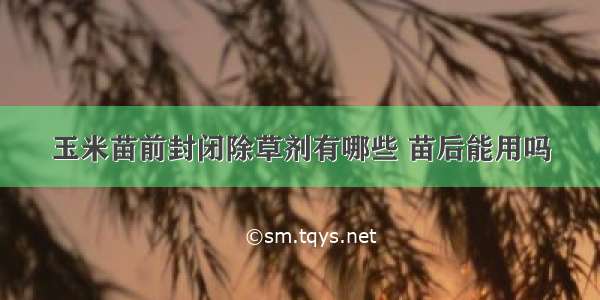 玉米苗前封闭除草剂有哪些 苗后能用吗