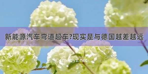 新能源汽车弯道超车?现实是与德国越差越远